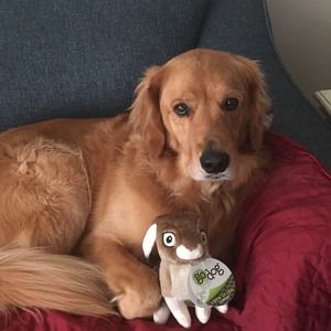 Meet your Posher, Jean